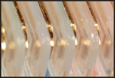 Network IMG_9189