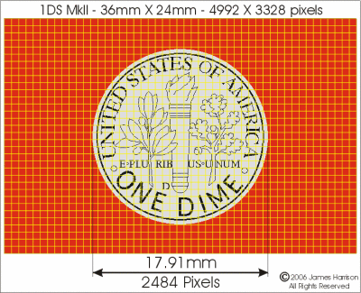 1DS MkII-Dime-grid.gif