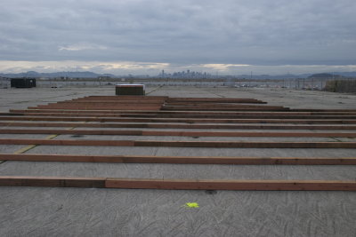 DSC_0002.jpg