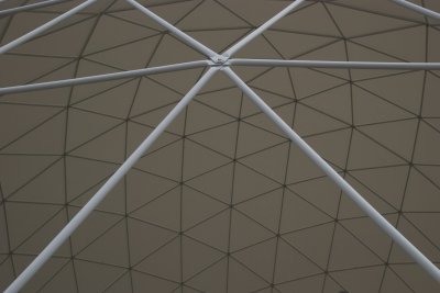DSC_0079.jpg