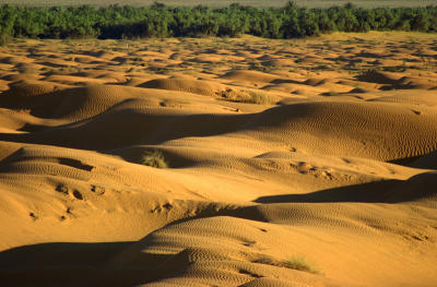 Dunes Ksar Ghilane 5