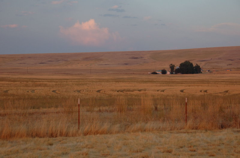 DSC_2396.jpg