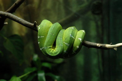 DSC_4331.jpg