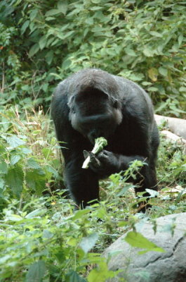DSC_4418.jpg