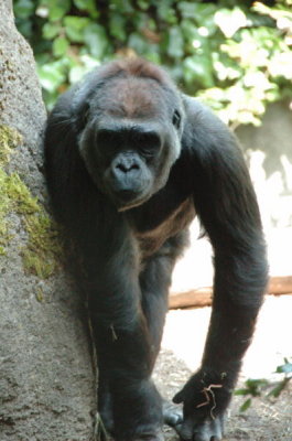 DSC_4431.jpg