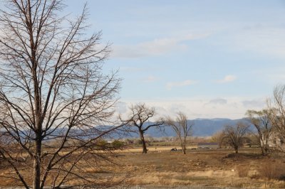 DSC_4718.jpg