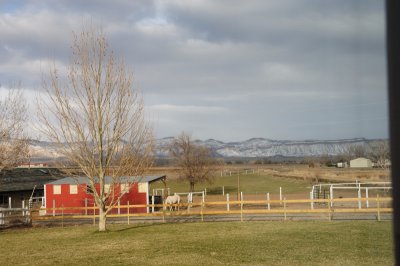 DSC_4719.jpg
