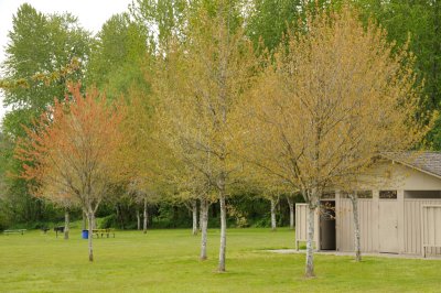 DSC_5877.JPG