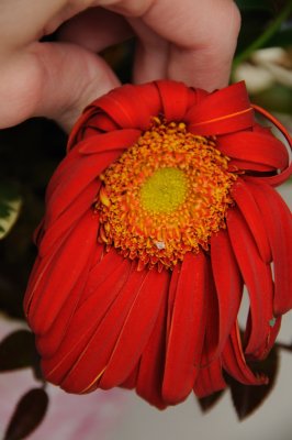 DSC_5962_065.JPG