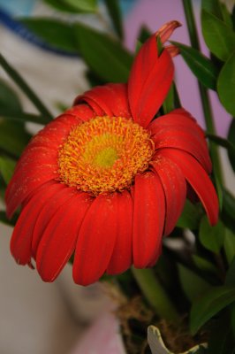 19-may-09