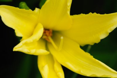 DSC_6719.JPG