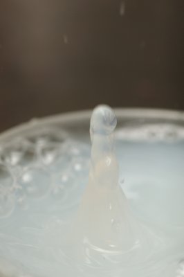DSC_1782.JPG