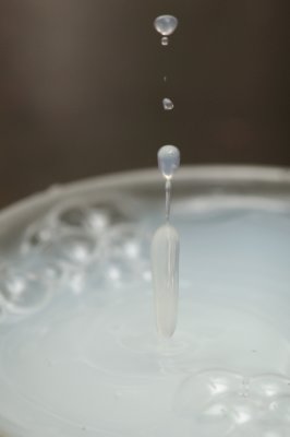 DSC_1787.JPG