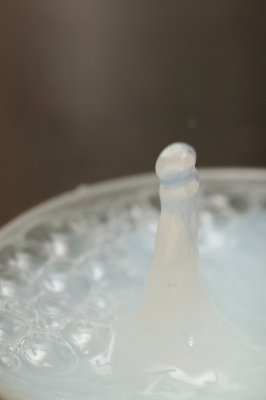 DSC_1792.JPG