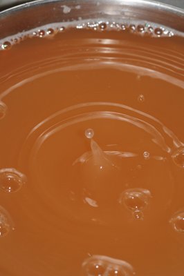 DSC_1886.JPG