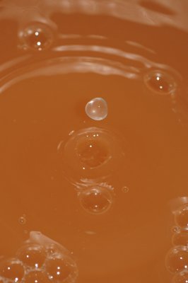 DSC_1889.JPG