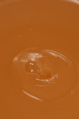 DSC_1894.JPG