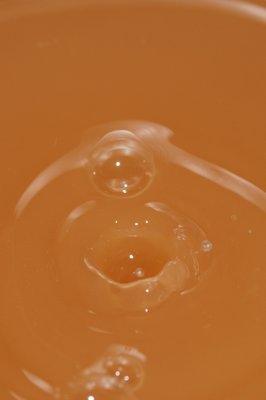 DSC_1895.JPG
