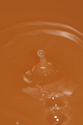 DSC_1897.JPG