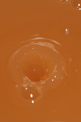 DSC_1899.JPG