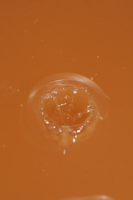 DSC_1903.JPG