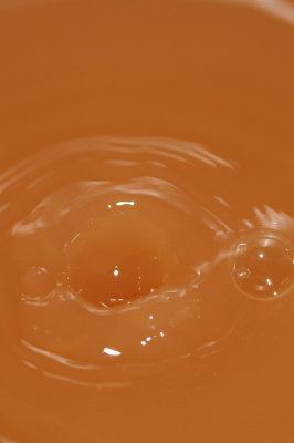 DSC_1907.JPG