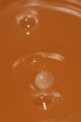 DSC_1909.JPG