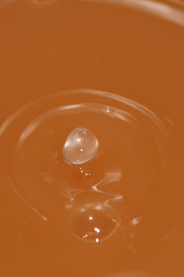 DSC_1911.JPG