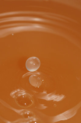 DSC_1919.JPG