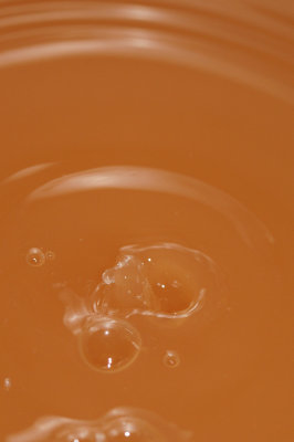 DSC_1920.JPG