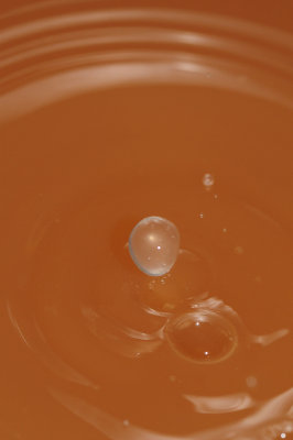 DSC_1924.JPG