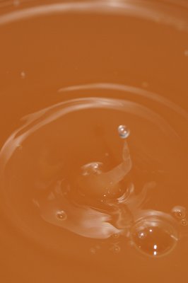 DSC_1925.JPG