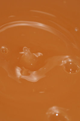 DSC_1926.JPG
