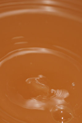 DSC_1927.JPG