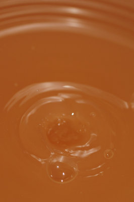 DSC_1928.JPG