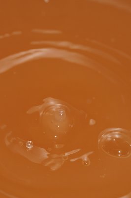 DSC_1930.JPG