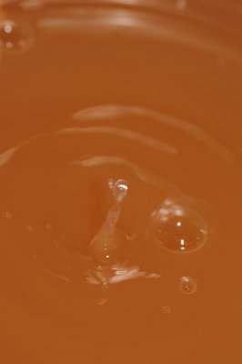 DSC_1932.JPG