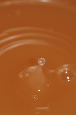 DSC_1945.JPG