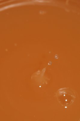 DSC_1965.JPG