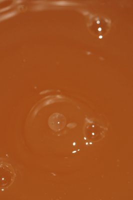 DSC_1971.JPG