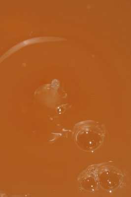 DSC_1978.JPG