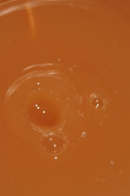 DSC_1980.JPG
