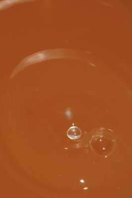 DSC_1982.JPG