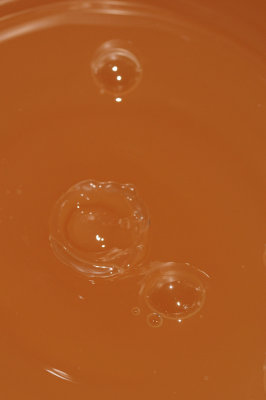DSC_1984.JPG