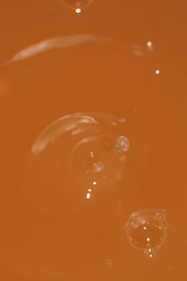 DSC_1991.JPG