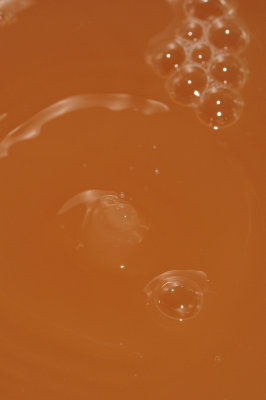 DSC_2007.JPG