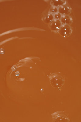 DSC_2009.JPG