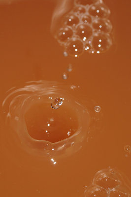 DSC_2011.JPG