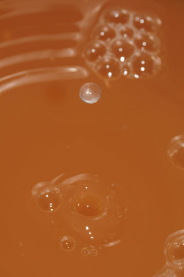 DSC_2012.JPG