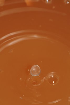 DSC_2016.JPG